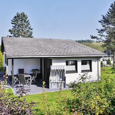 Ferienhaus Diemelquelle - Mit Eingezaeuntem Garten Willingen  Extérieur photo