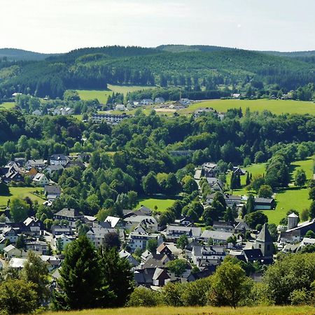 Ferienhaus Diemelquelle - Mit Eingezaeuntem Garten Willingen  Extérieur photo