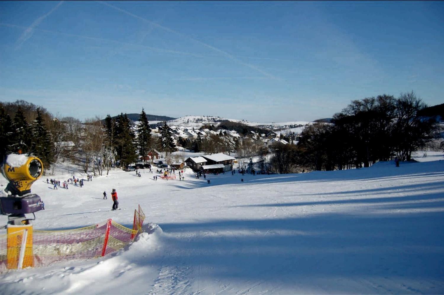 Ferienhaus Diemelquelle - Mit Eingezaeuntem Garten Willingen  Extérieur photo