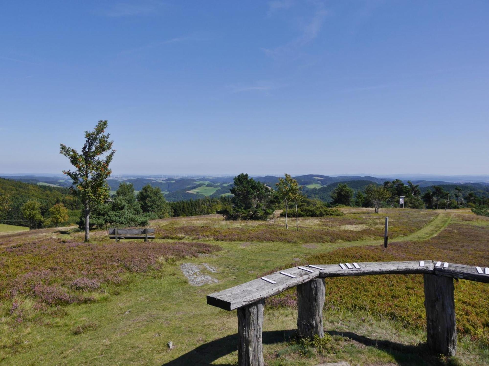 Ferienhaus Diemelquelle - Mit Eingezaeuntem Garten Willingen  Extérieur photo
