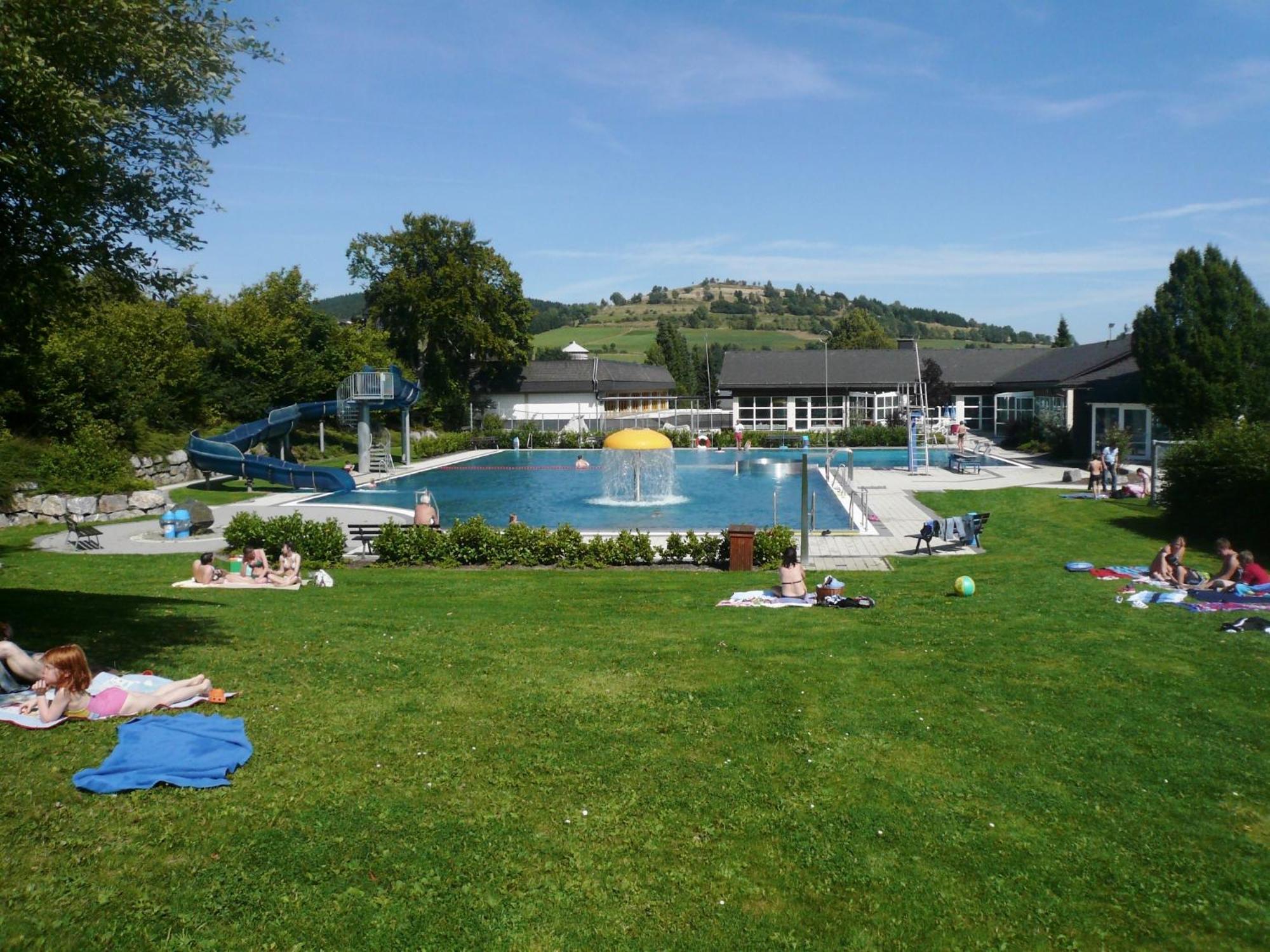 Ferienhaus Diemelquelle - Mit Eingezaeuntem Garten Willingen  Extérieur photo