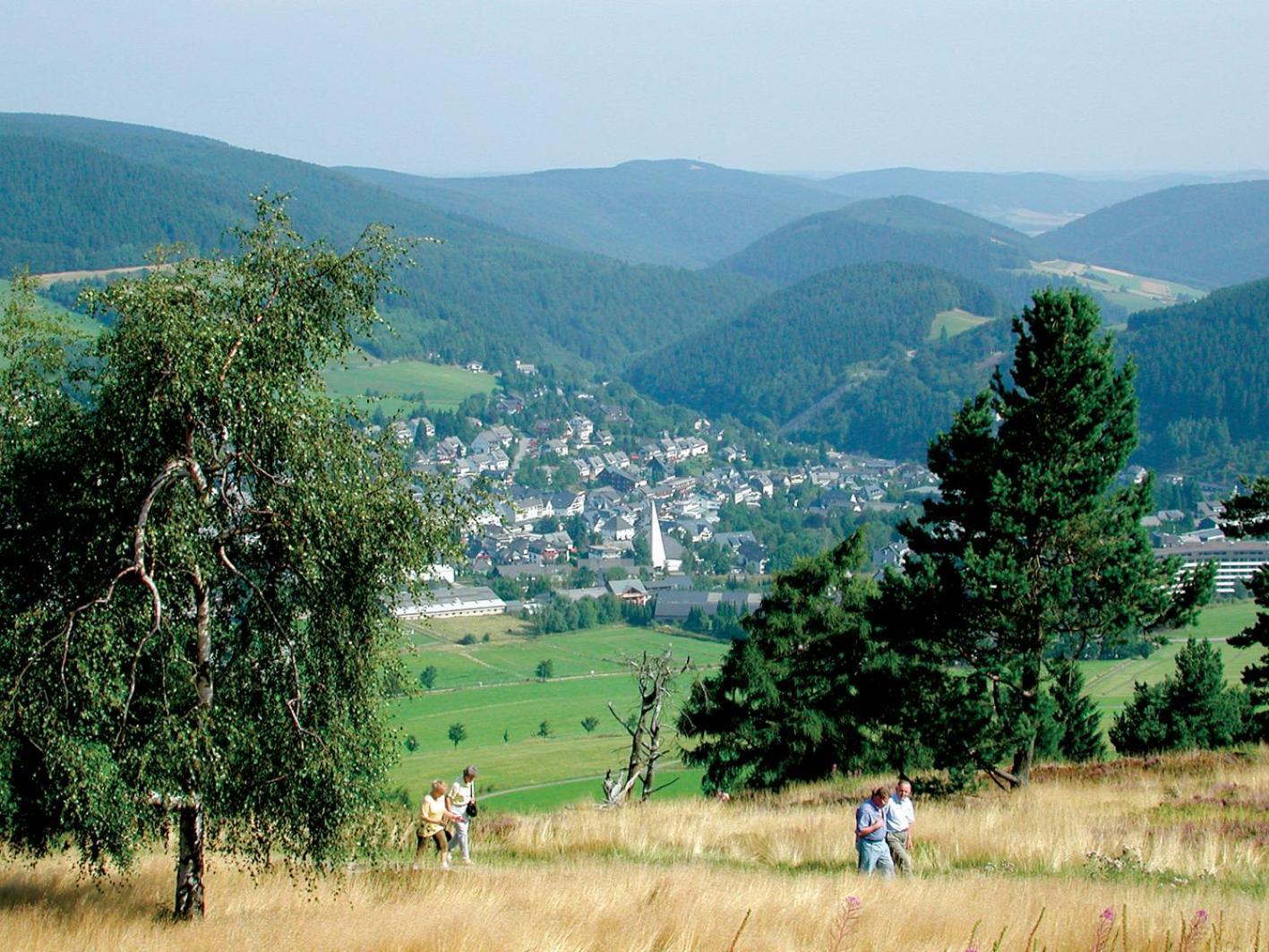 Ferienhaus Diemelquelle - Mit Eingezaeuntem Garten Willingen  Extérieur photo
